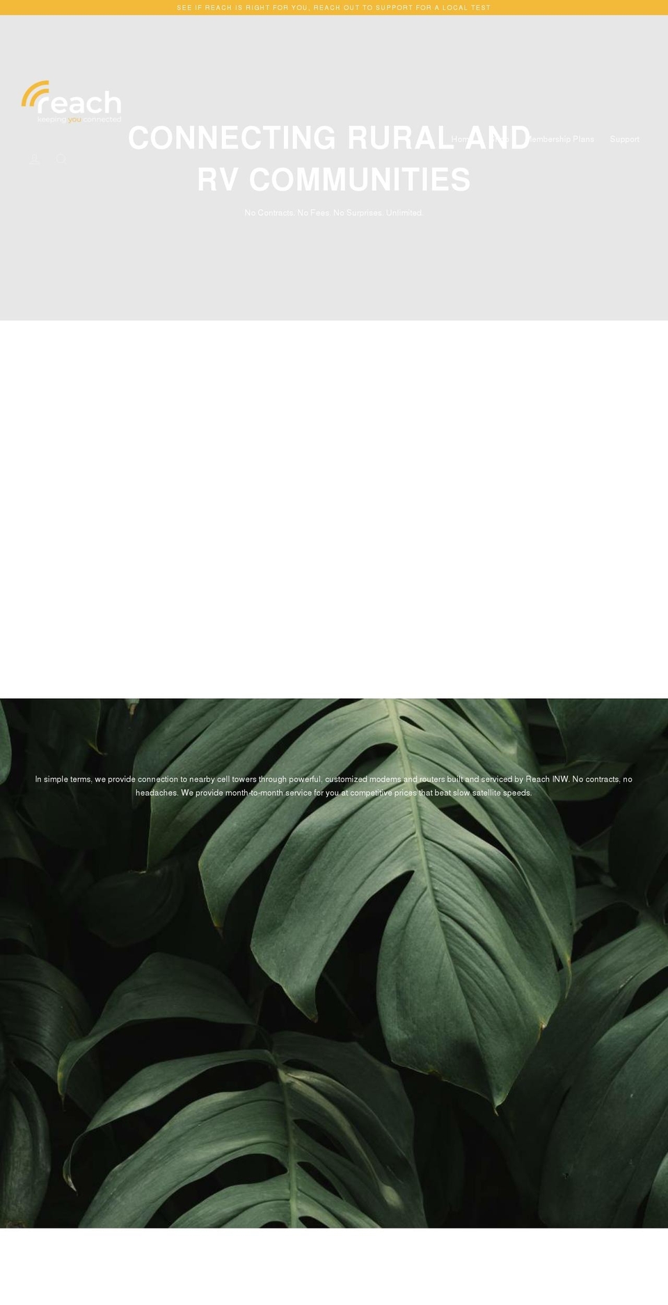 reachinw.com shopify website screenshot