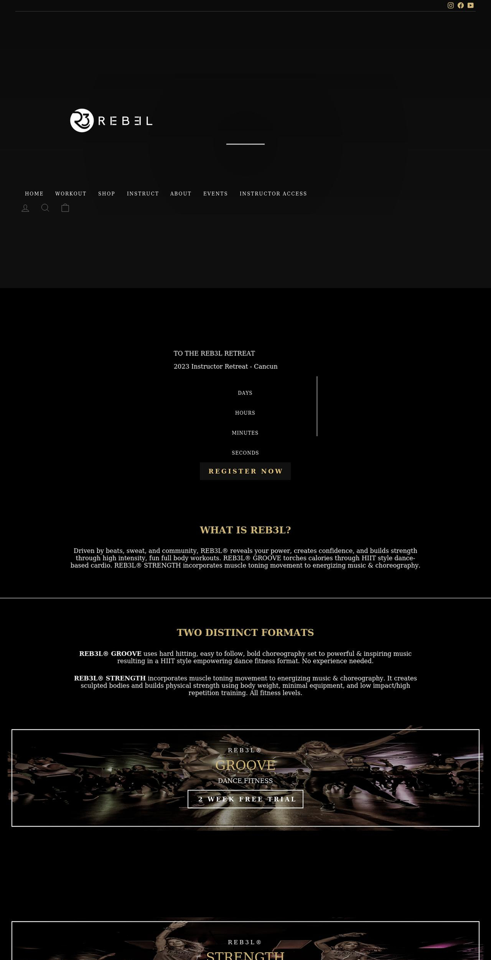 reb3lfit.com shopify website screenshot