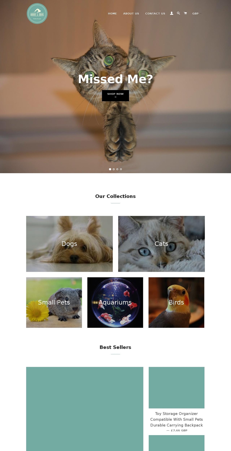rebeccabainspetshop.com — Shopify storefront screenshot
