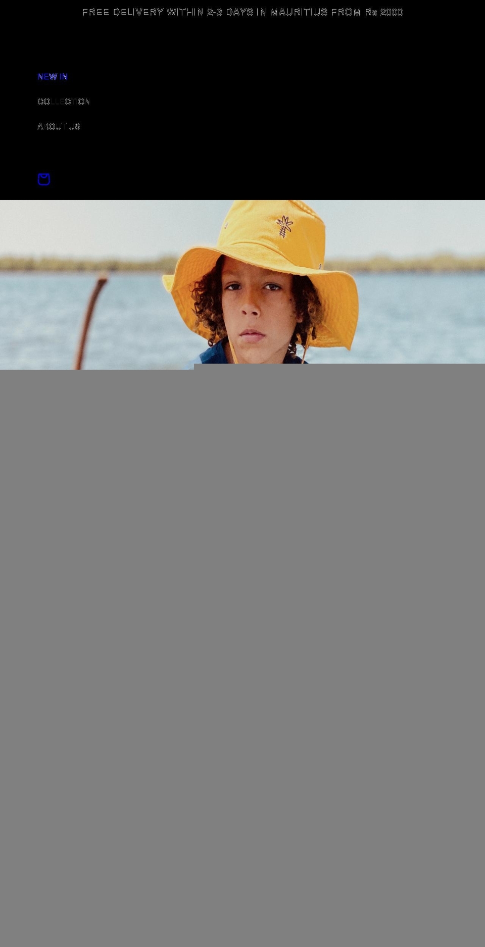 recfur.com shopify website screenshot