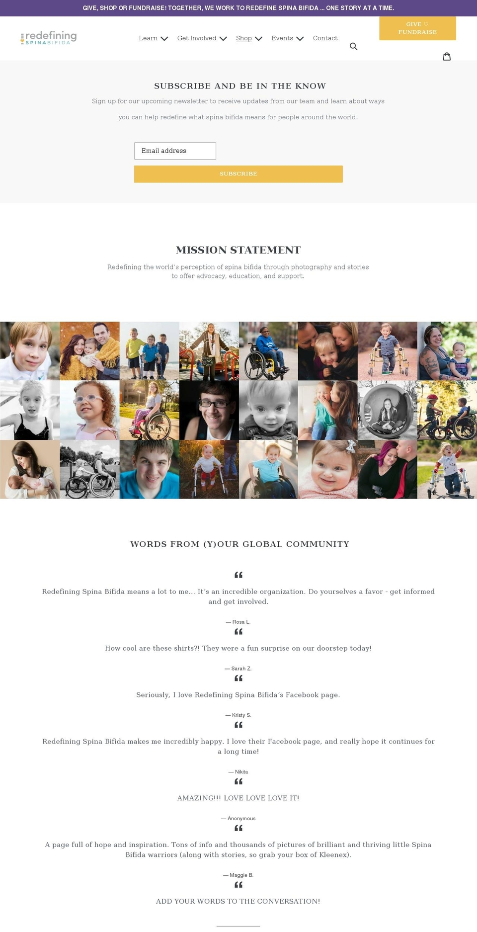 redefiningspinabifida.org shopify website screenshot