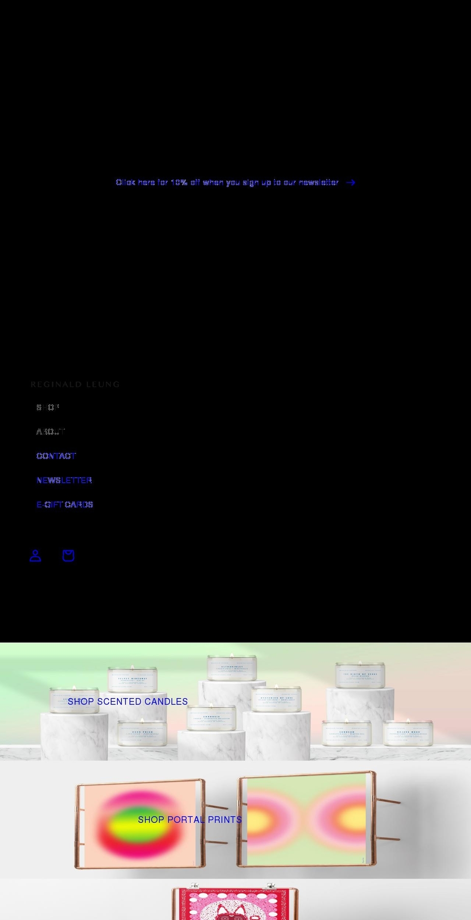 reginaldleung.com shopify website screenshot