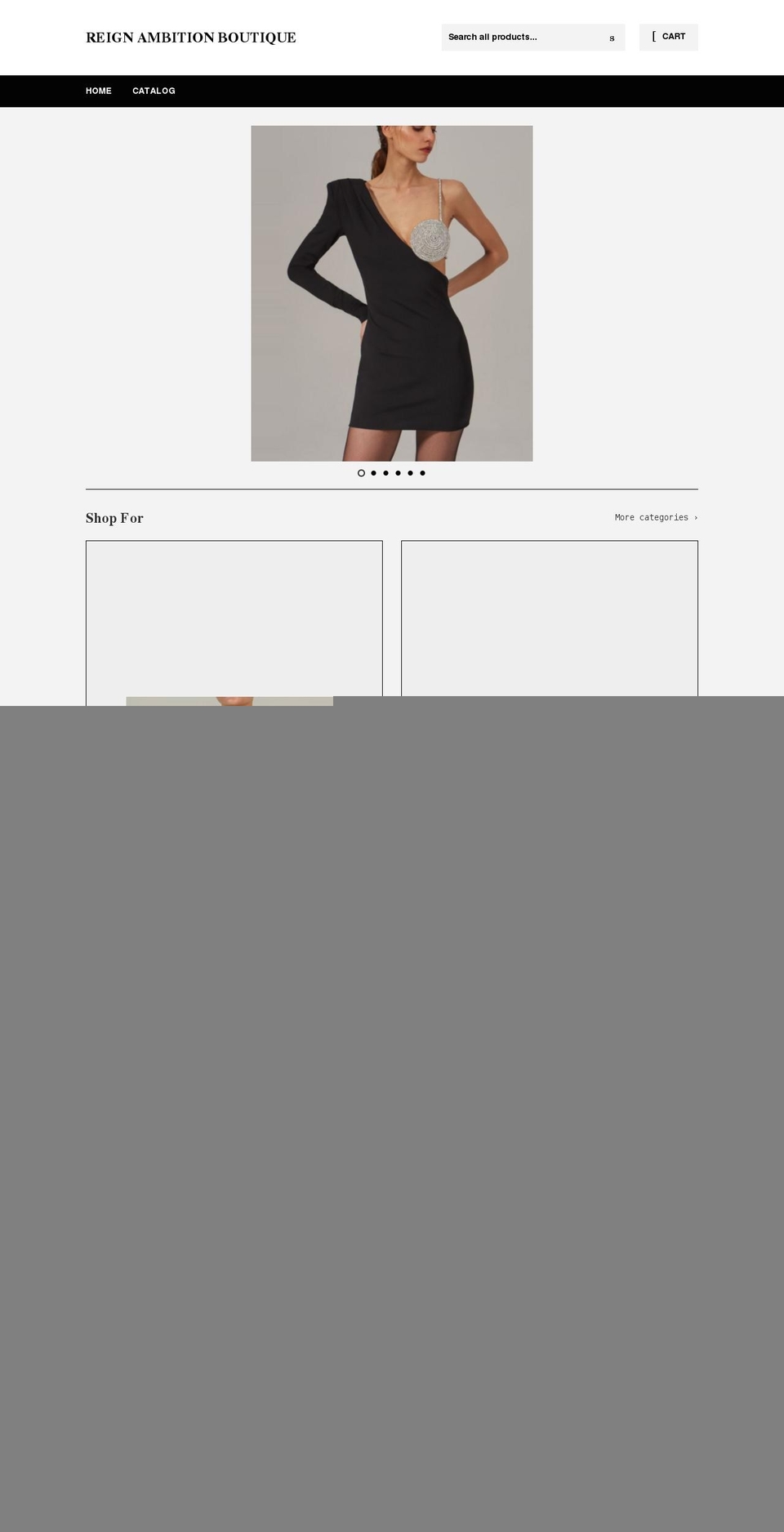 reignambitionboutique.com shopify website screenshot