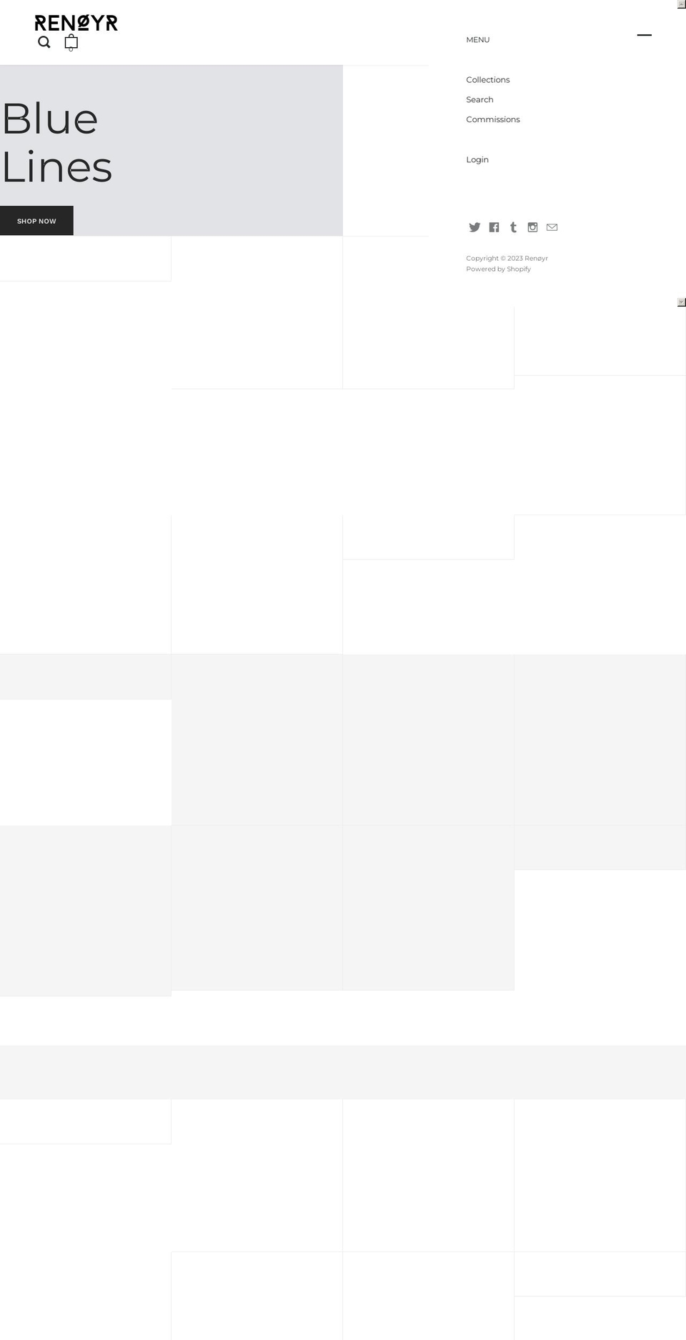 renoyr.com — Shopify storefront screenshot