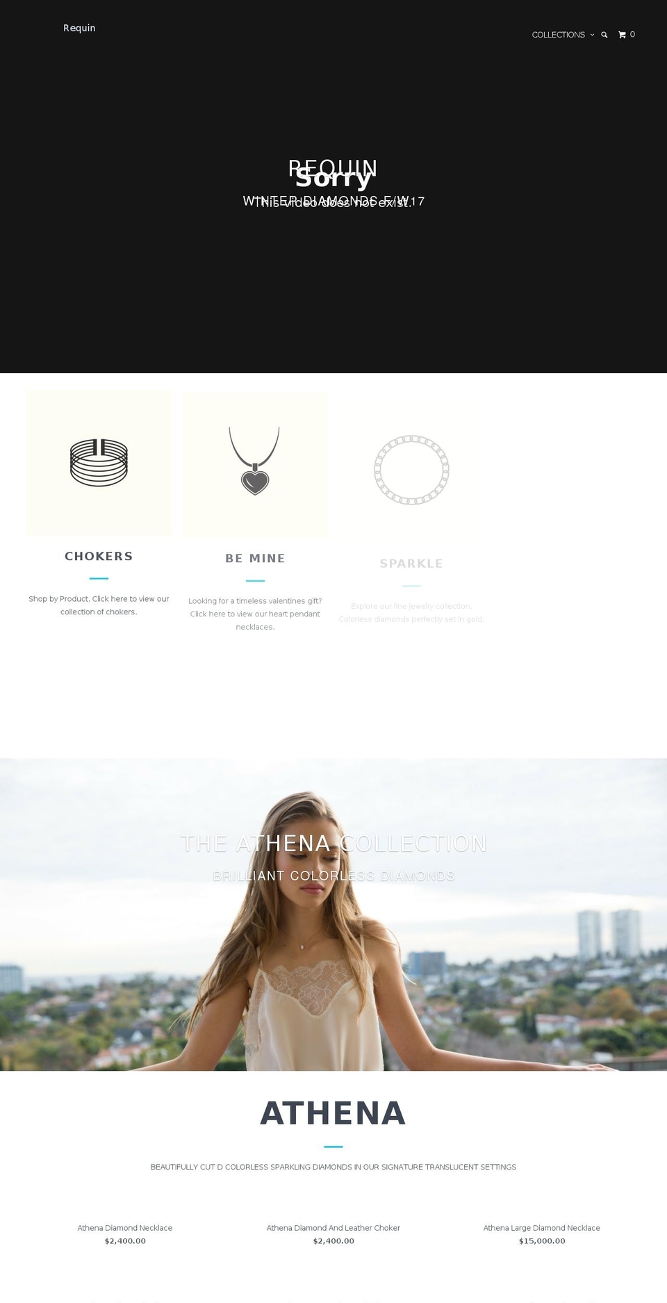requin.com shopify website screenshot