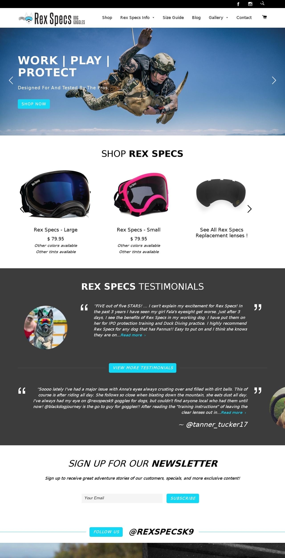 rexspecs.com shopify website screenshot
