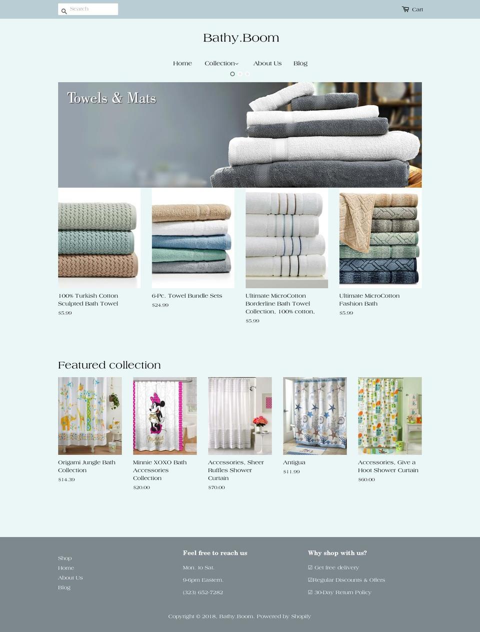 ricushe.com — Shopify storefront screenshot