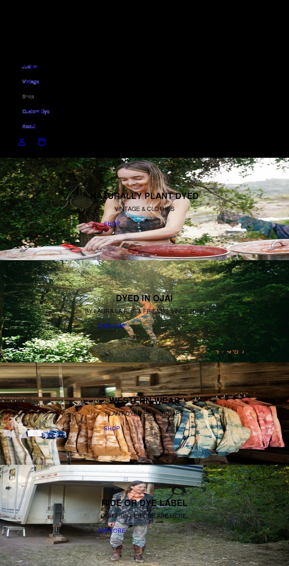 rideordyeojai.com shopify website screenshot