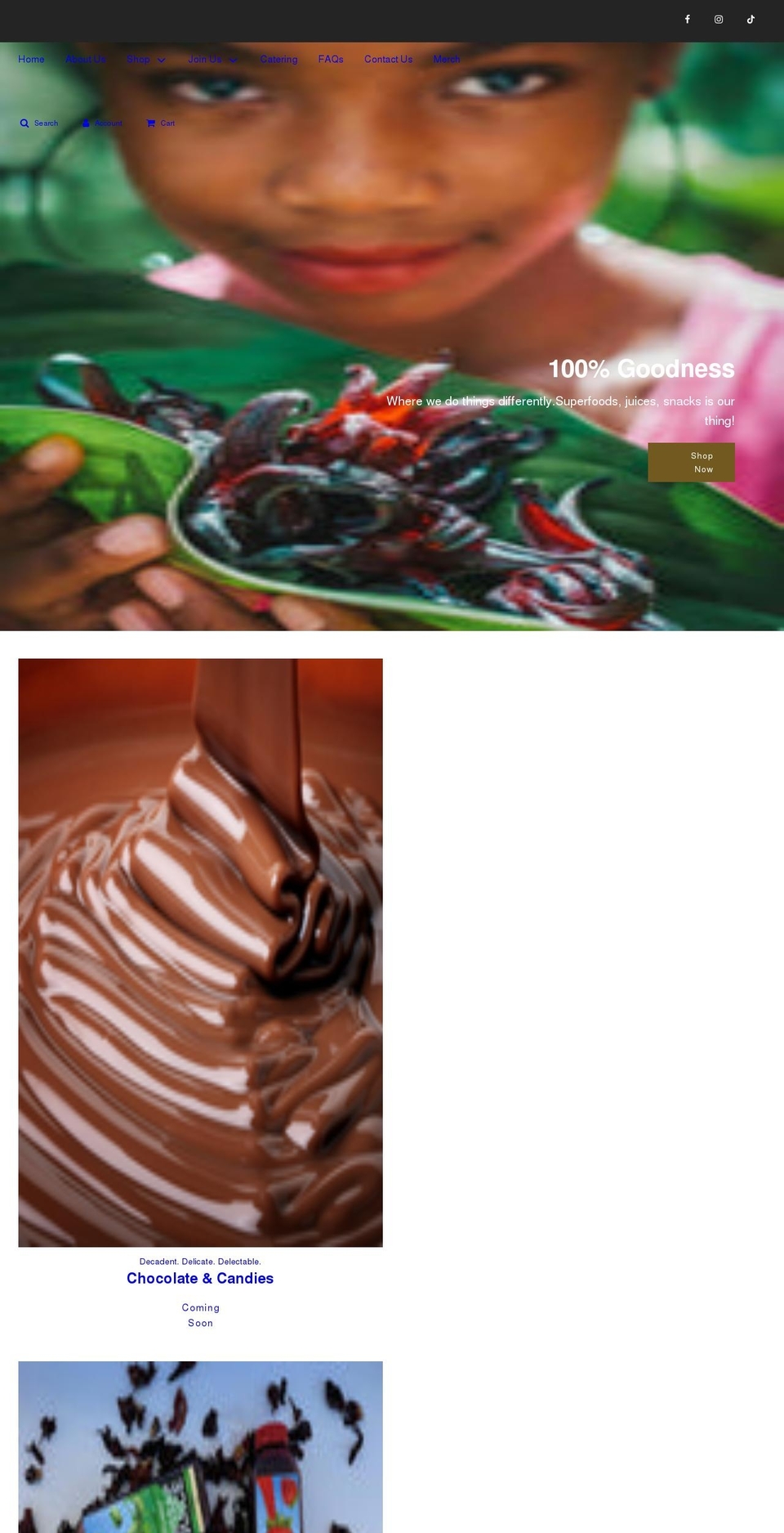 Flow  OPT Shopify theme site example riechleist.com