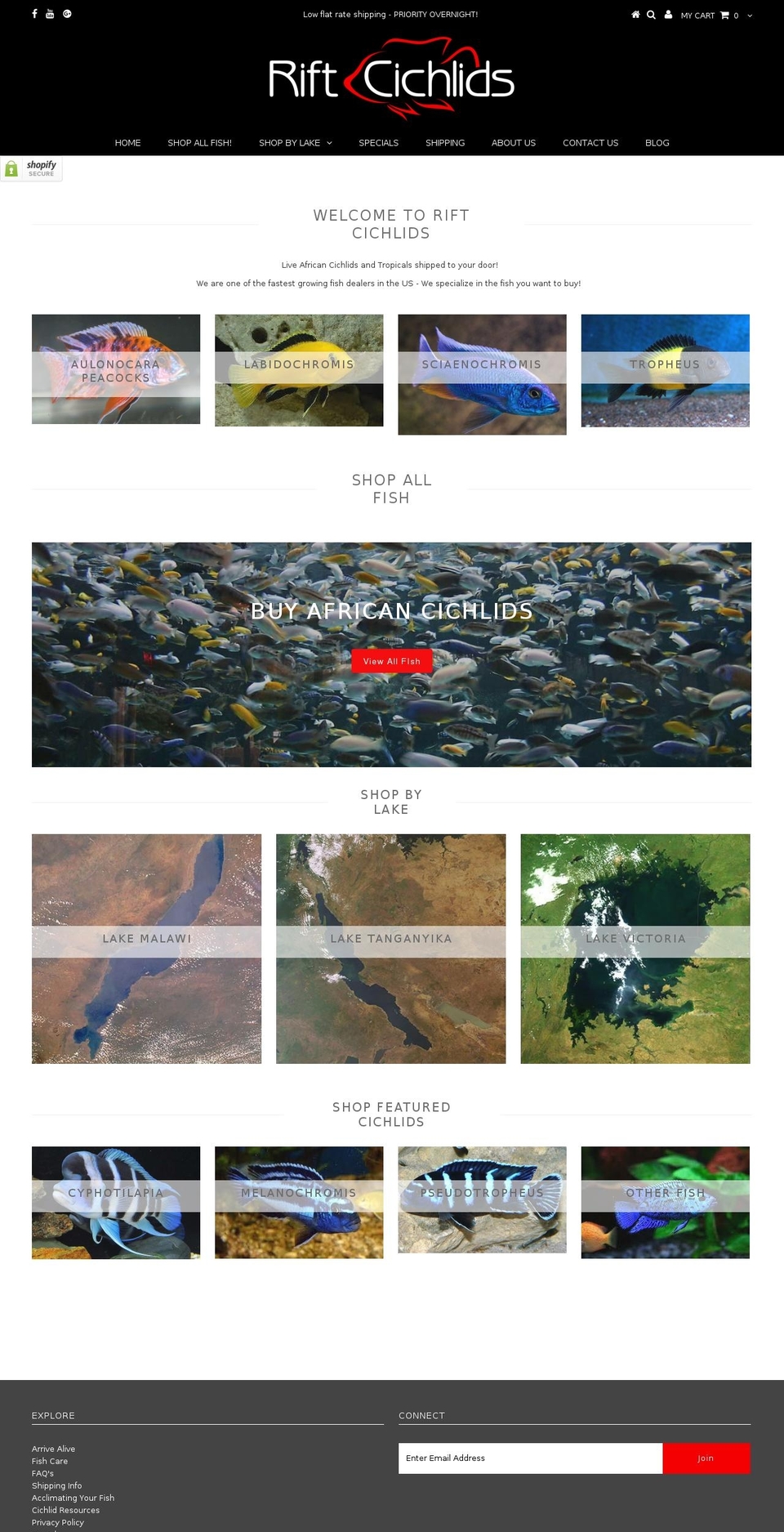 riftcichlids.net shopify website screenshot