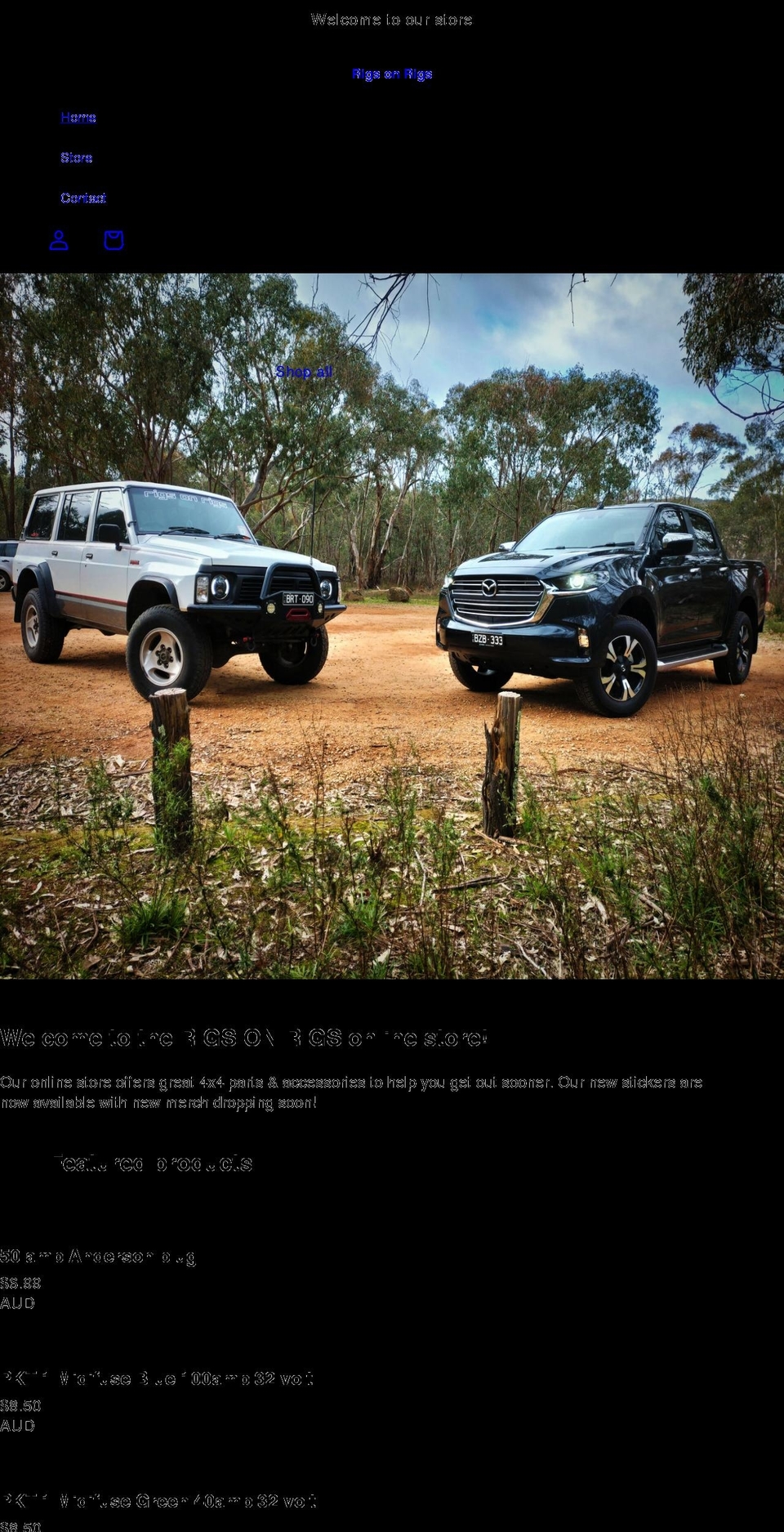 rigsonrigs.com shopify website screenshot