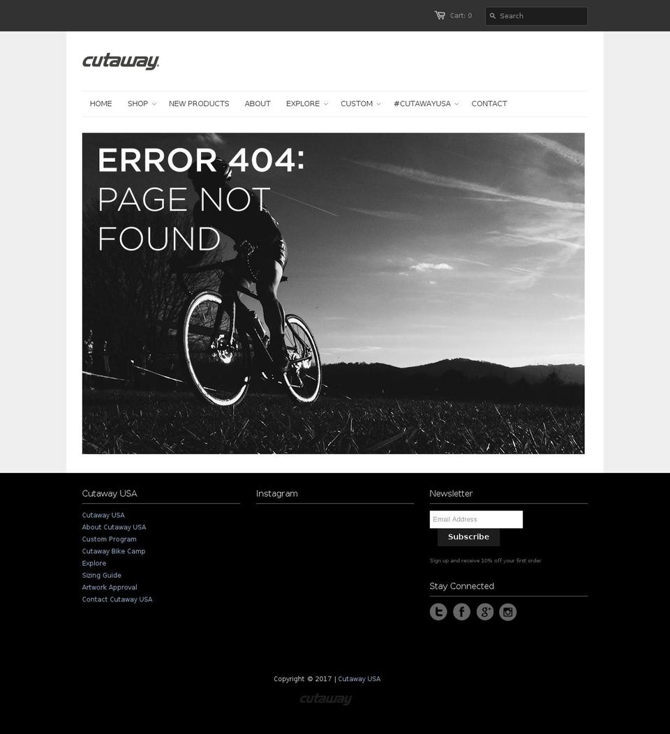 riseagainfund.com shopify website screenshot