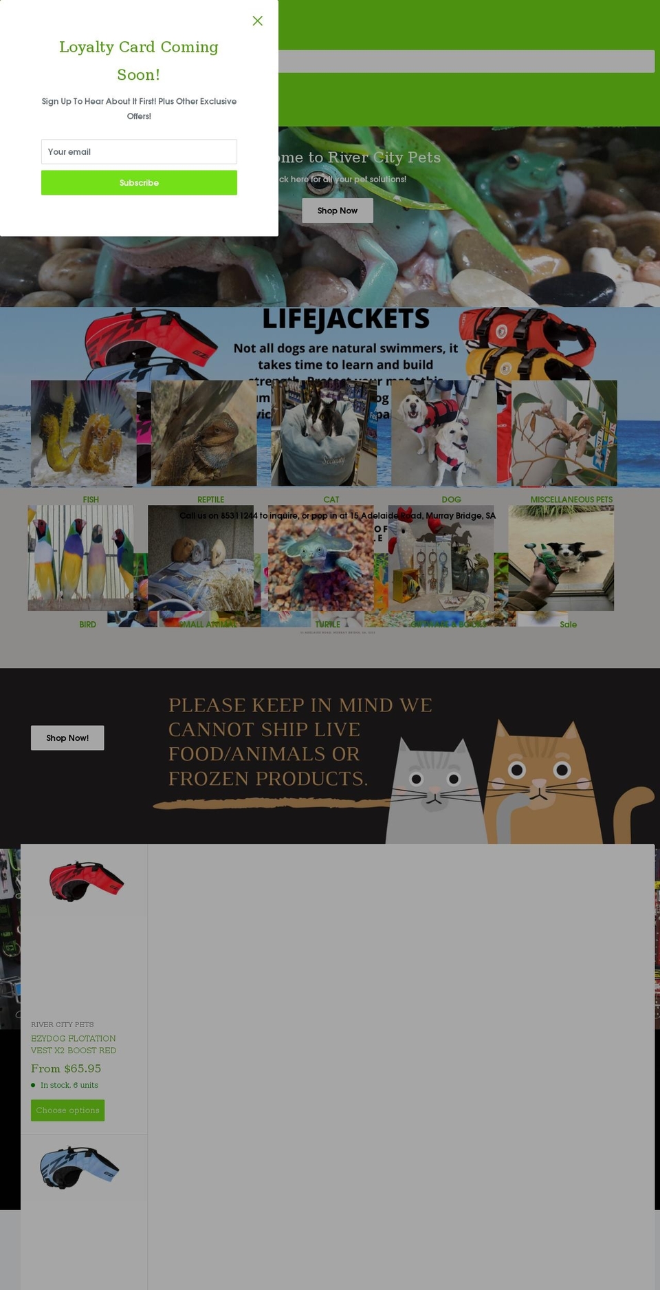 rivercitypets.com.au shopify website screenshot