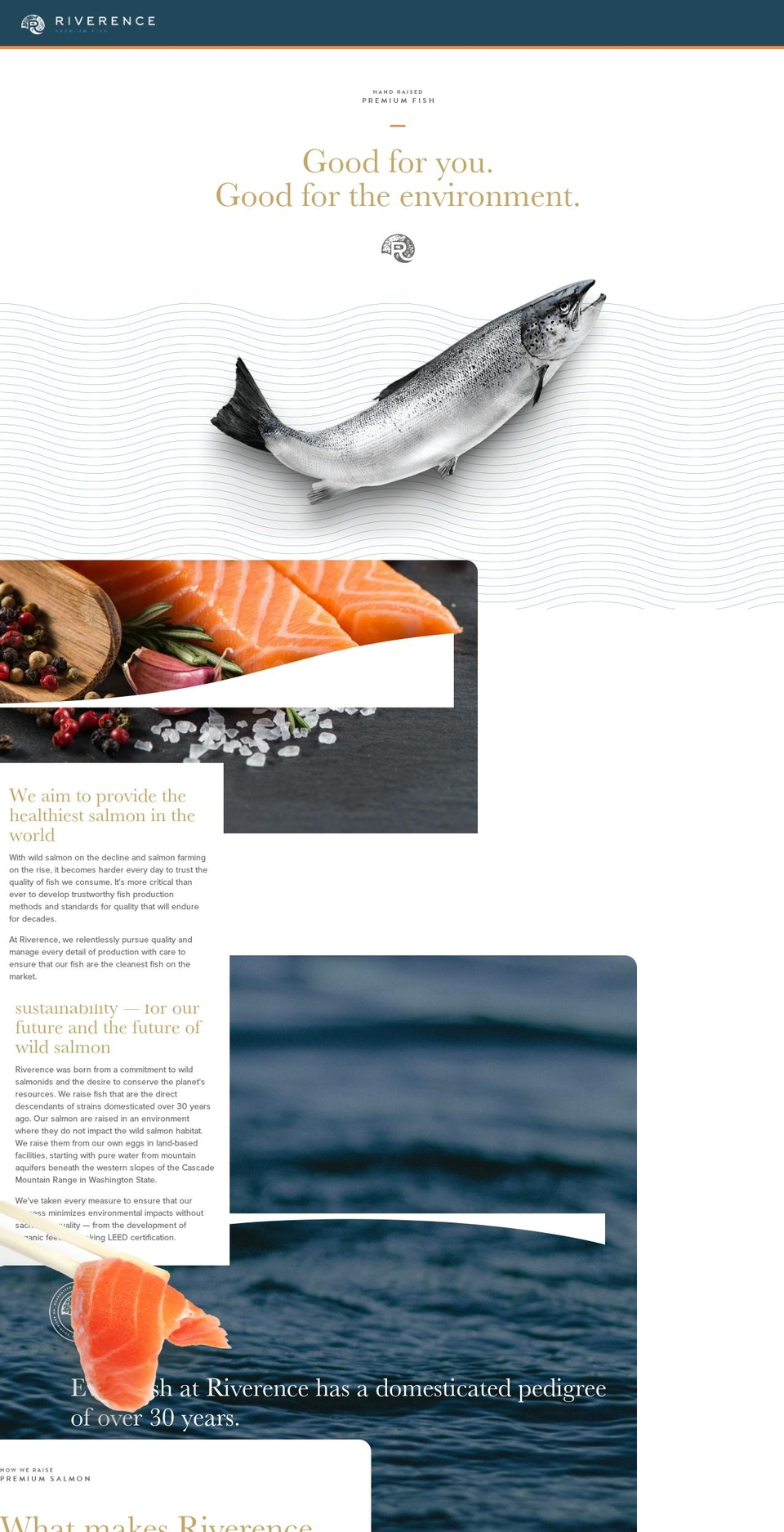 riverence.com shopify website screenshot