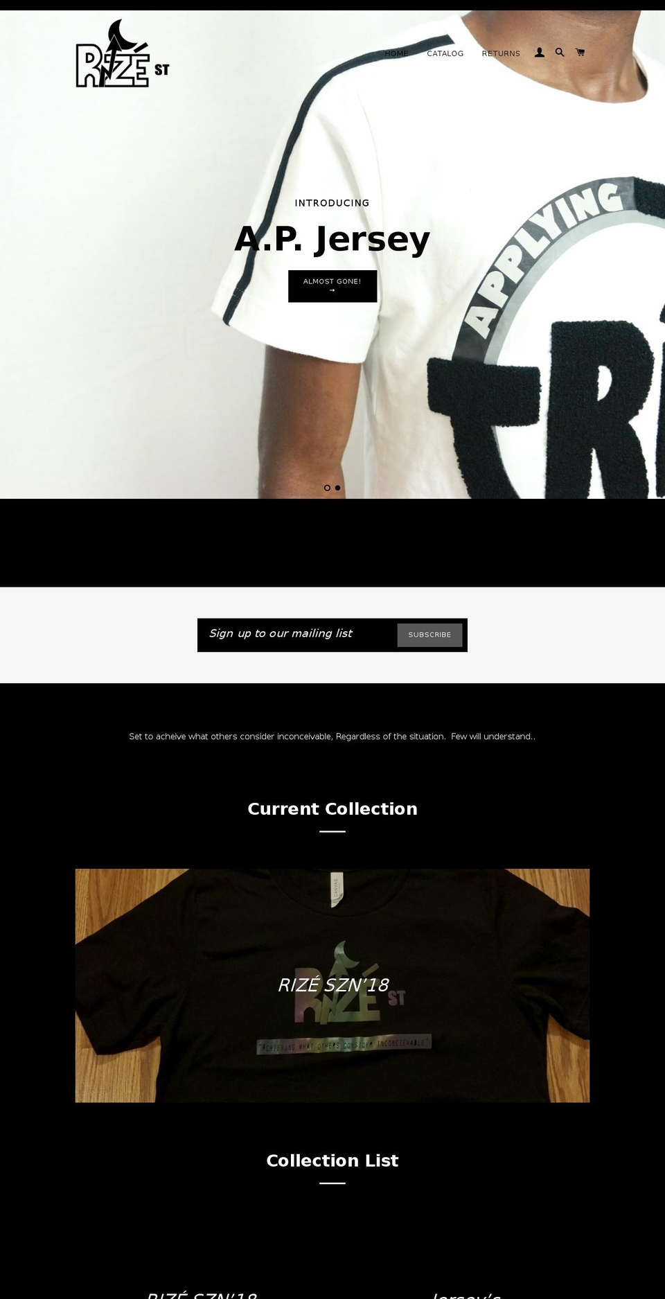 rizeds.com — Shopify storefront screenshot