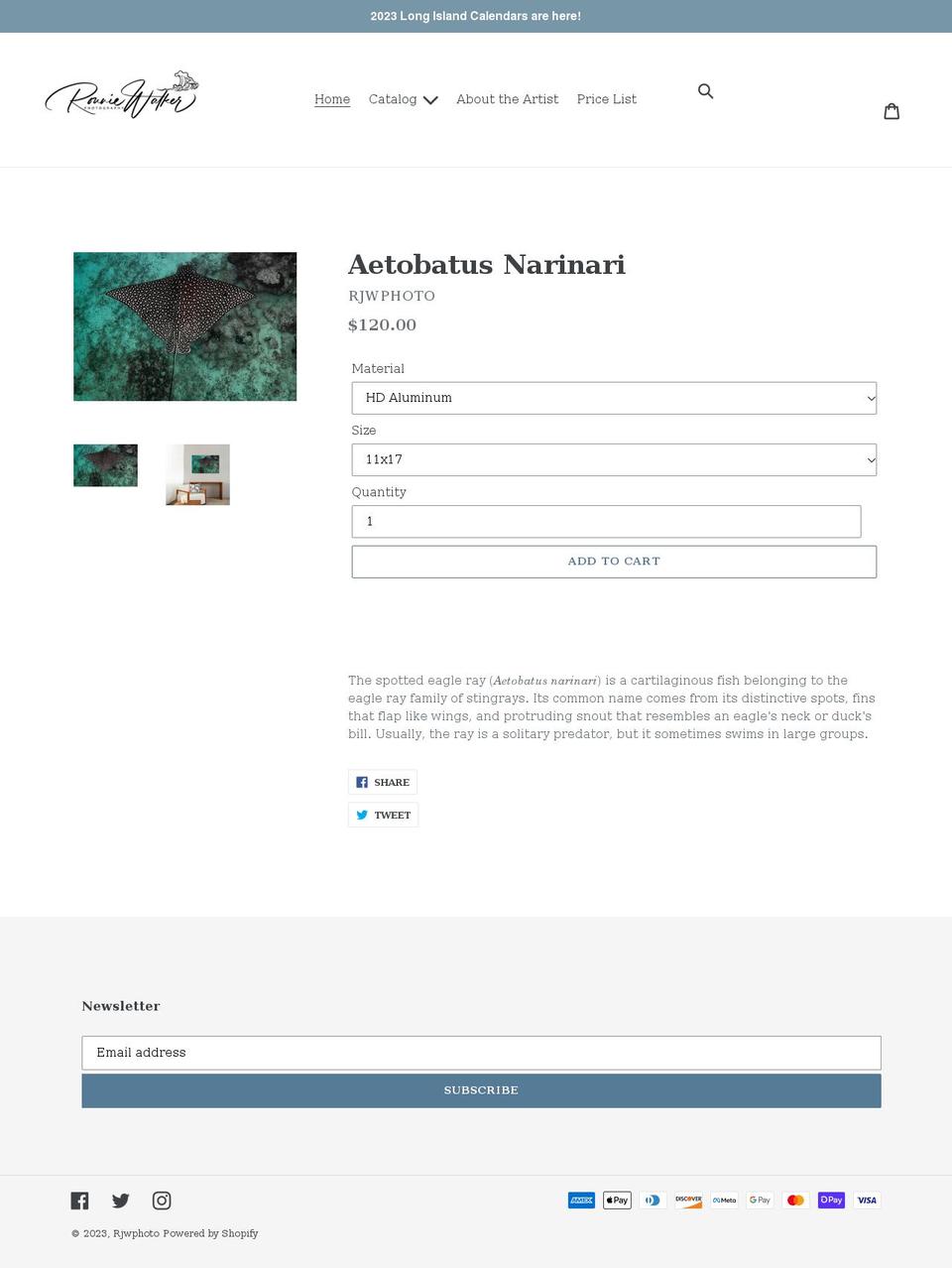 rjwphotony.com shopify website screenshot