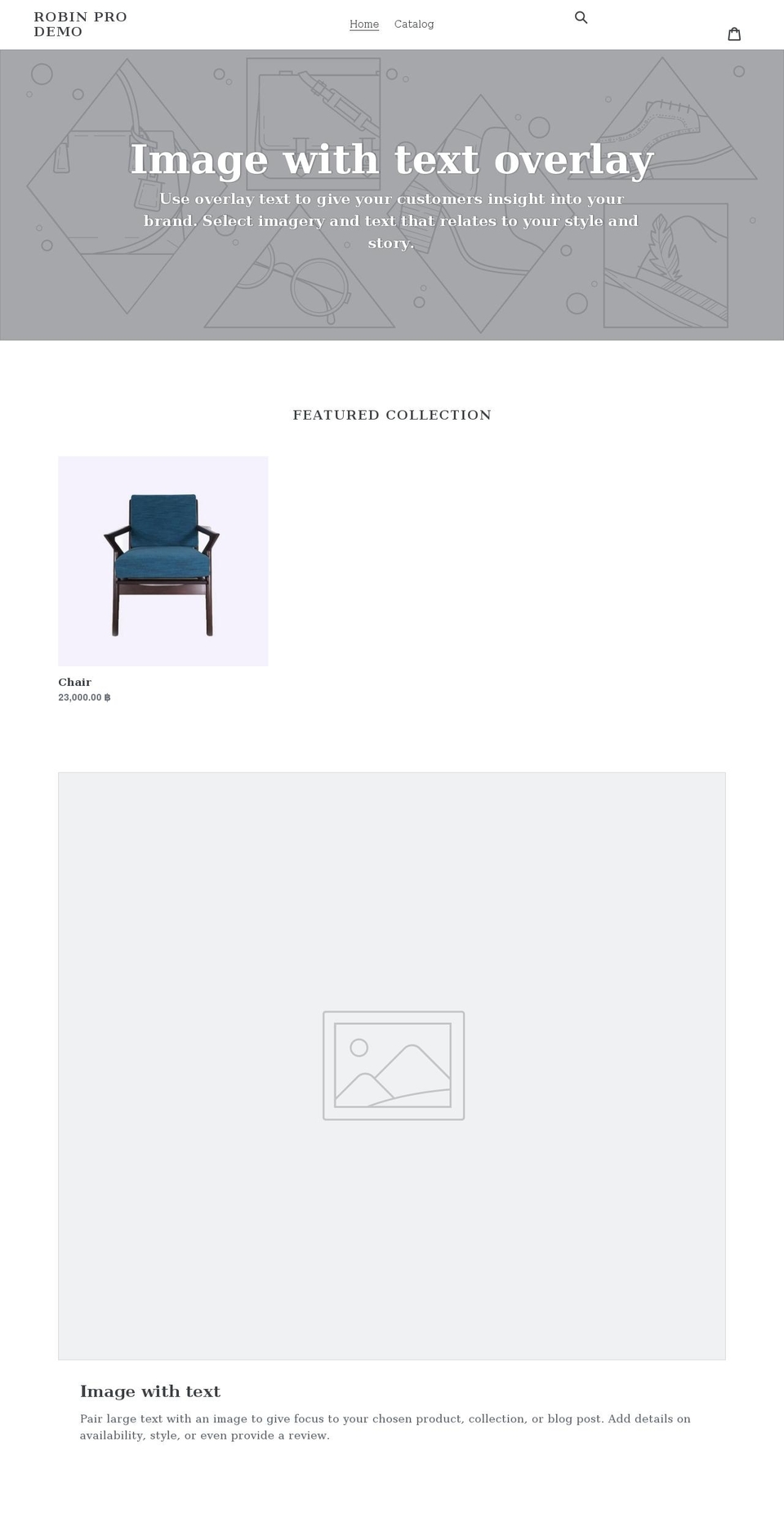 robin-pro-demo.myshopify.com shopify website screenshot