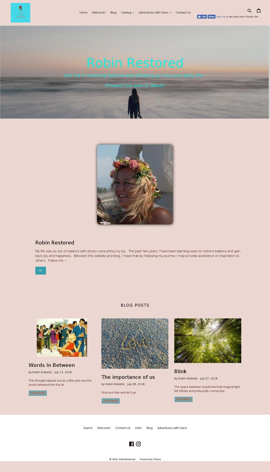 robinrestored.com — Shopify storefront screenshot