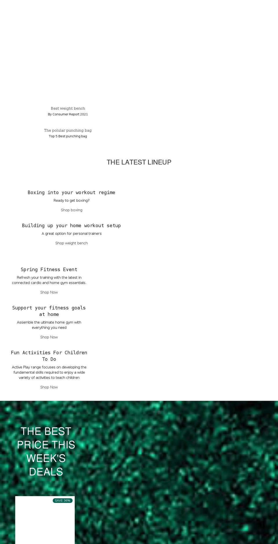 v dev Shopify theme site example robustsport.com