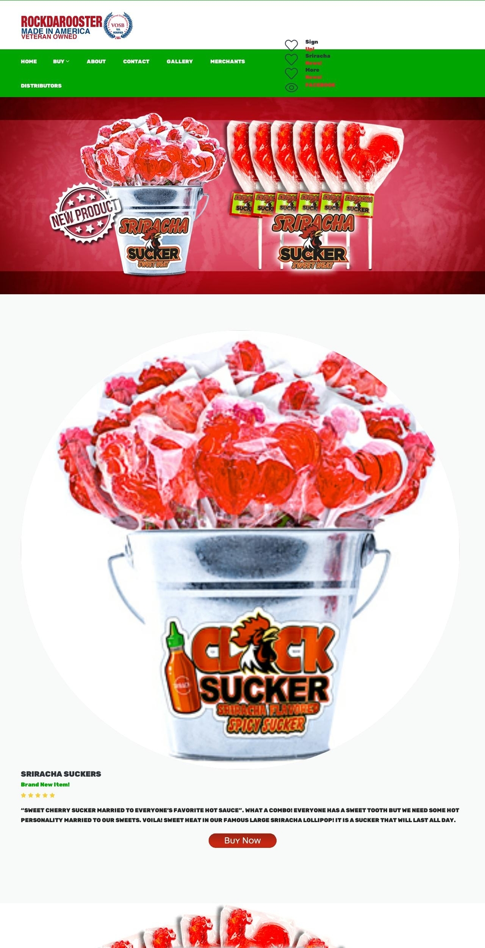 rockdarooster.com — Shopify storefront screenshot