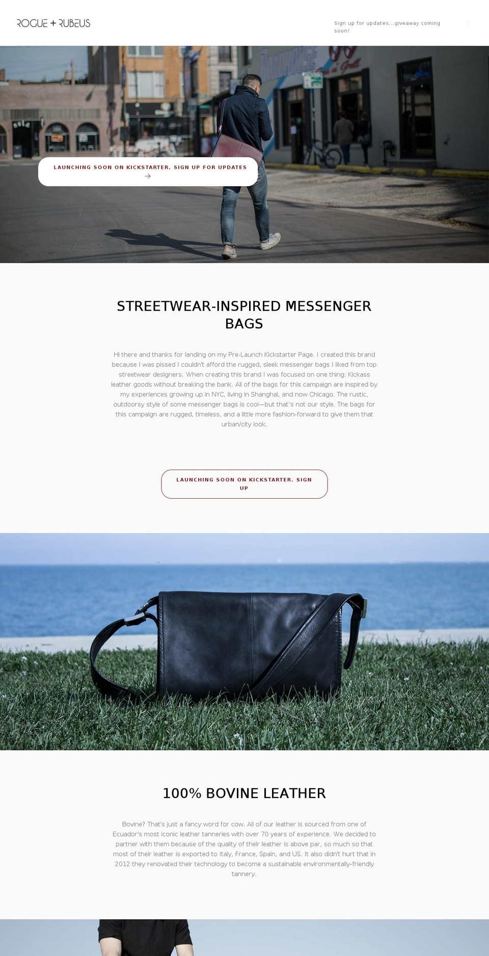 roguerubeus.com shopify website screenshot