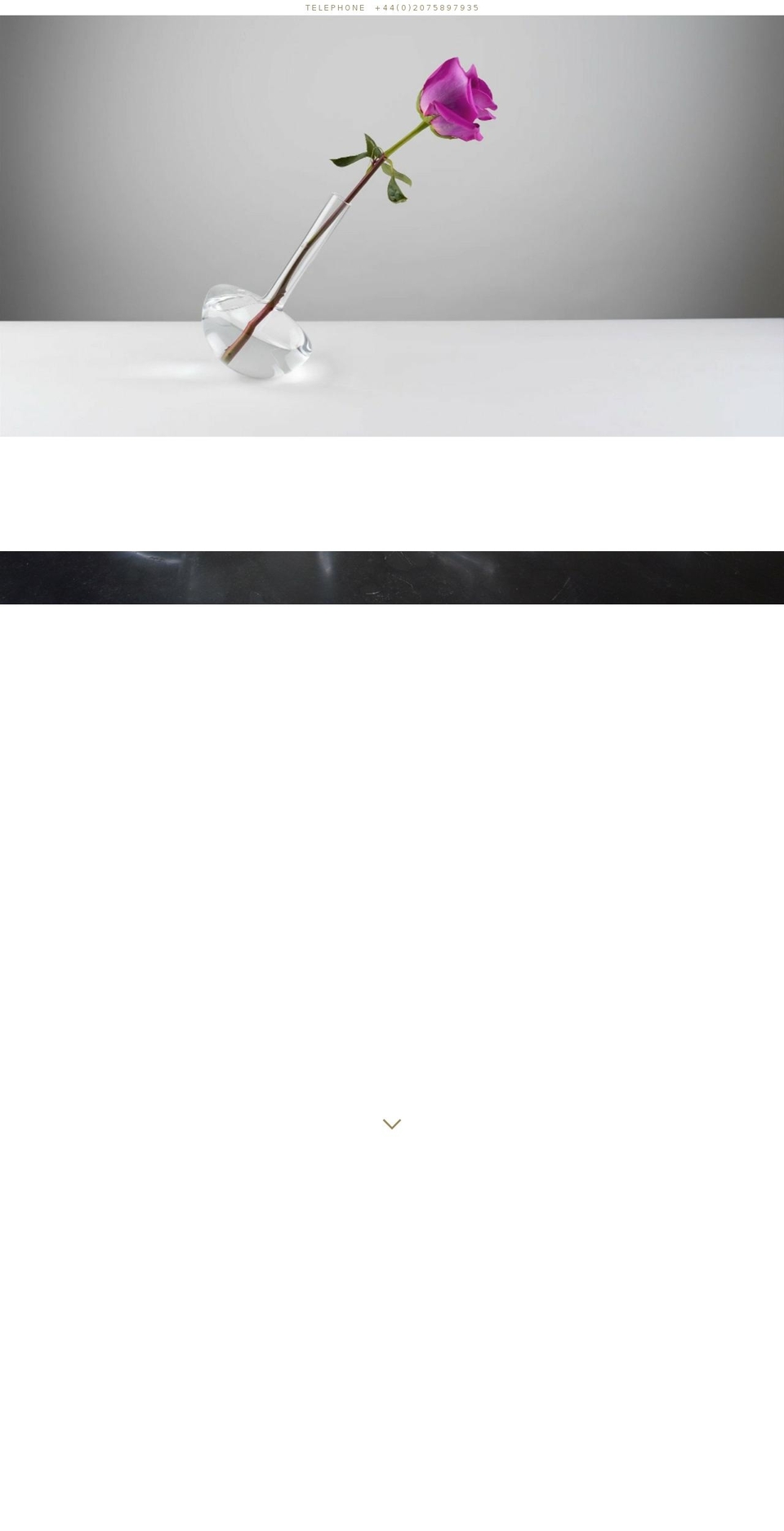 rokos.com shopify website screenshot