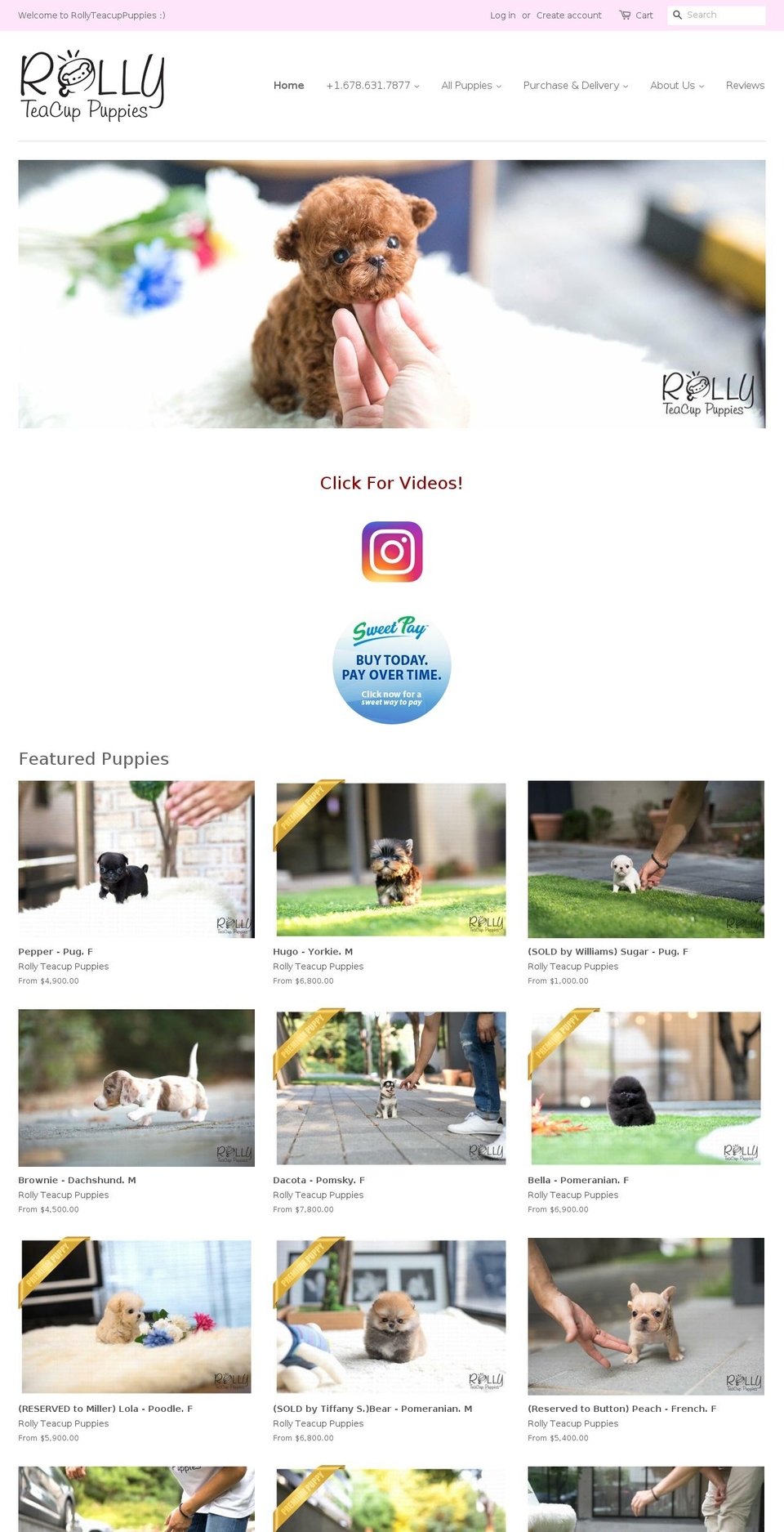 rollypups.com — Shopify storefront screenshot