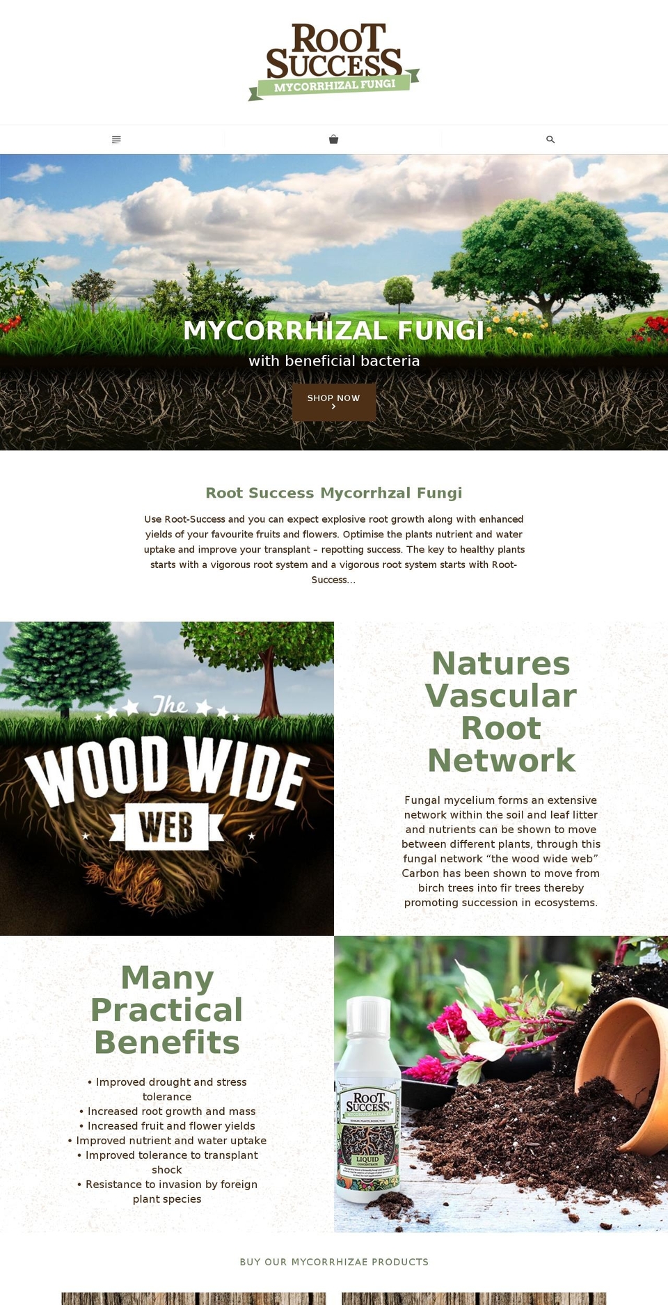 root-success.com shopify website screenshot
