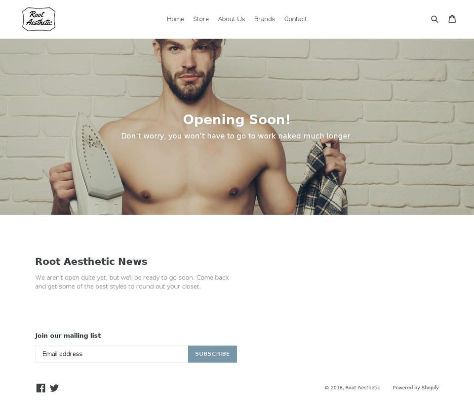 rootaesthetic.com — Shopify storefront screenshot