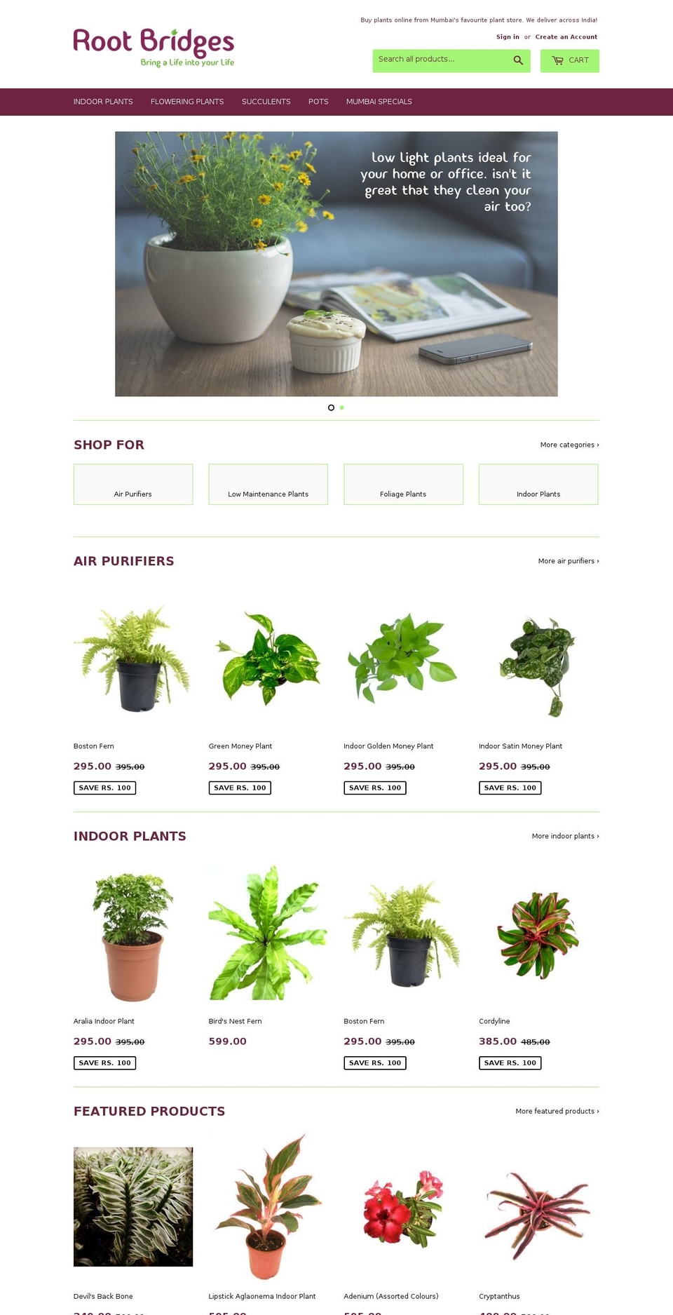 rootbridges.com shopify website screenshot