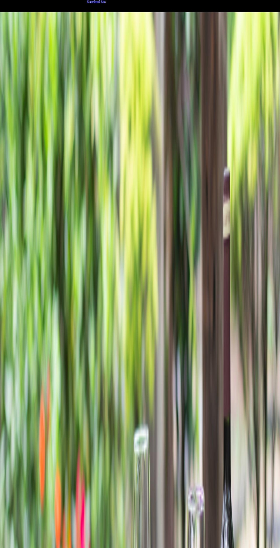 rooted.co.uk shopify website screenshot