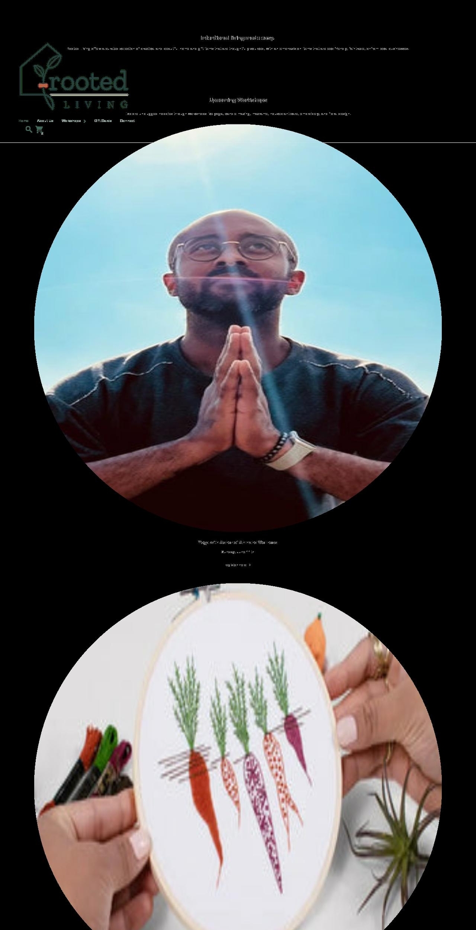 rootedchicago.com shopify website screenshot