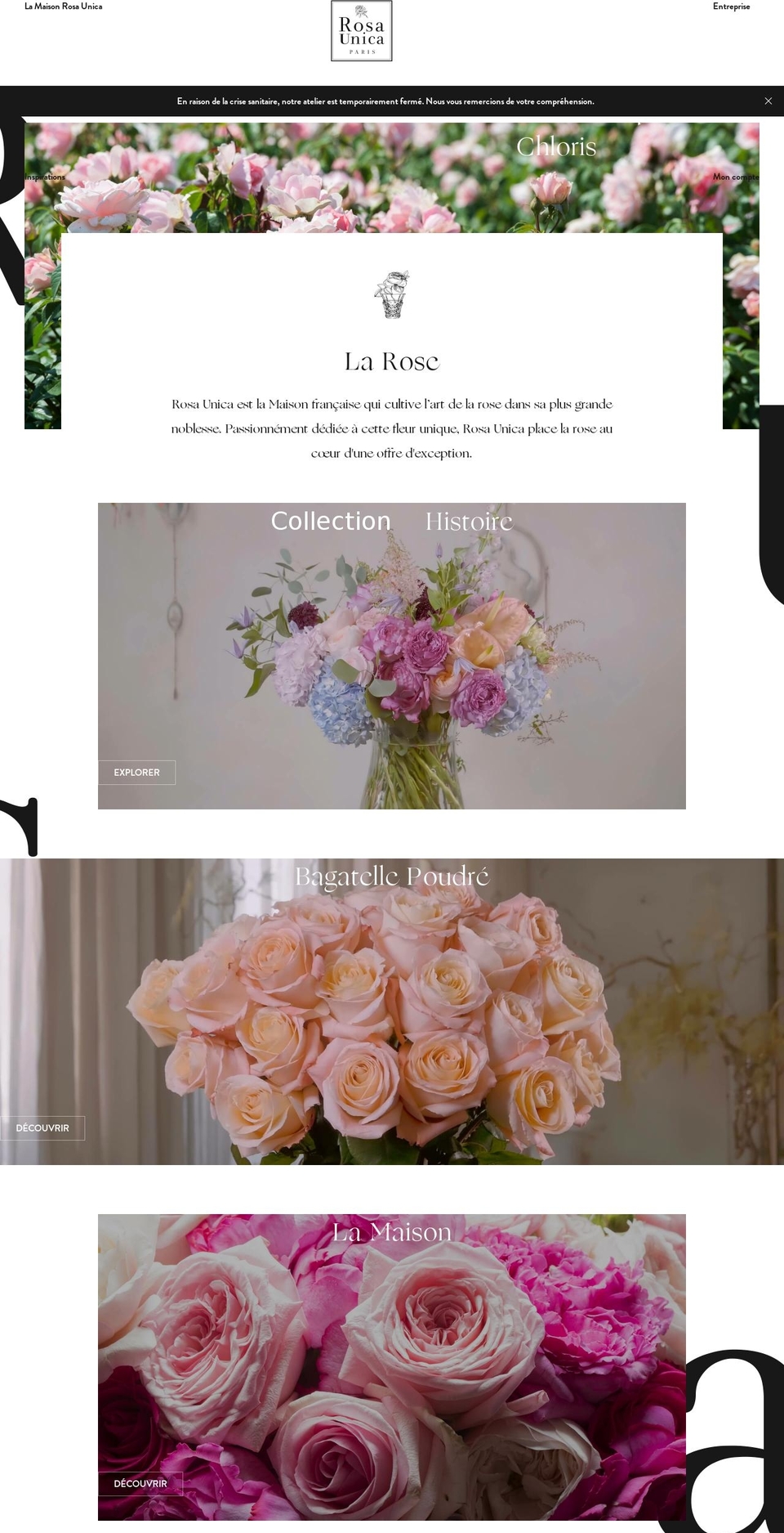 rosa-unica.com shopify website screenshot