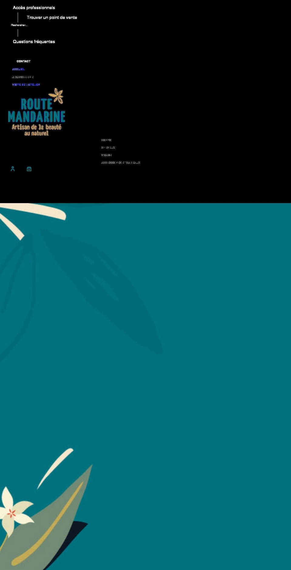 route-mandarine.com shopify website screenshot
