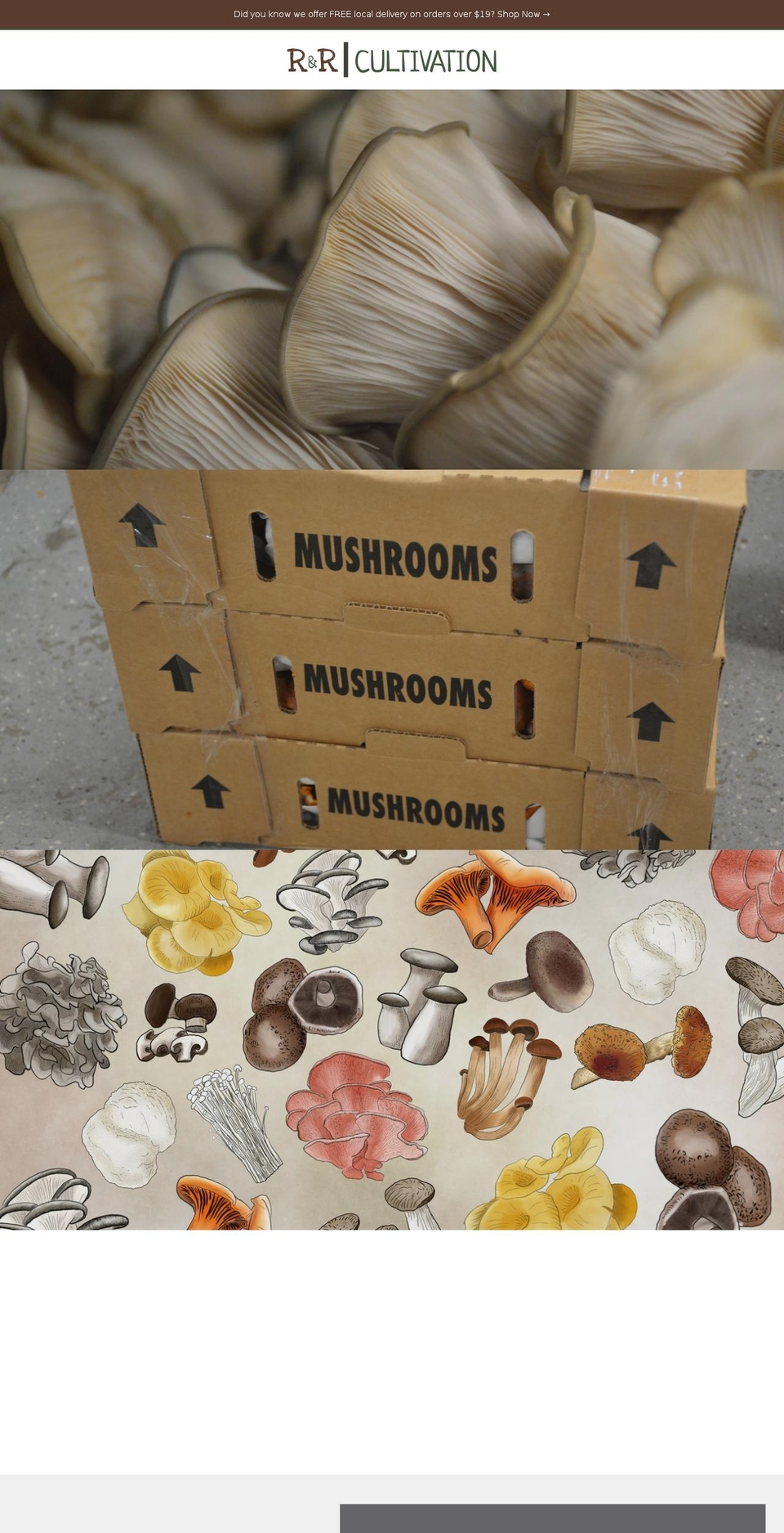 rrcultivation.com shopify website screenshot