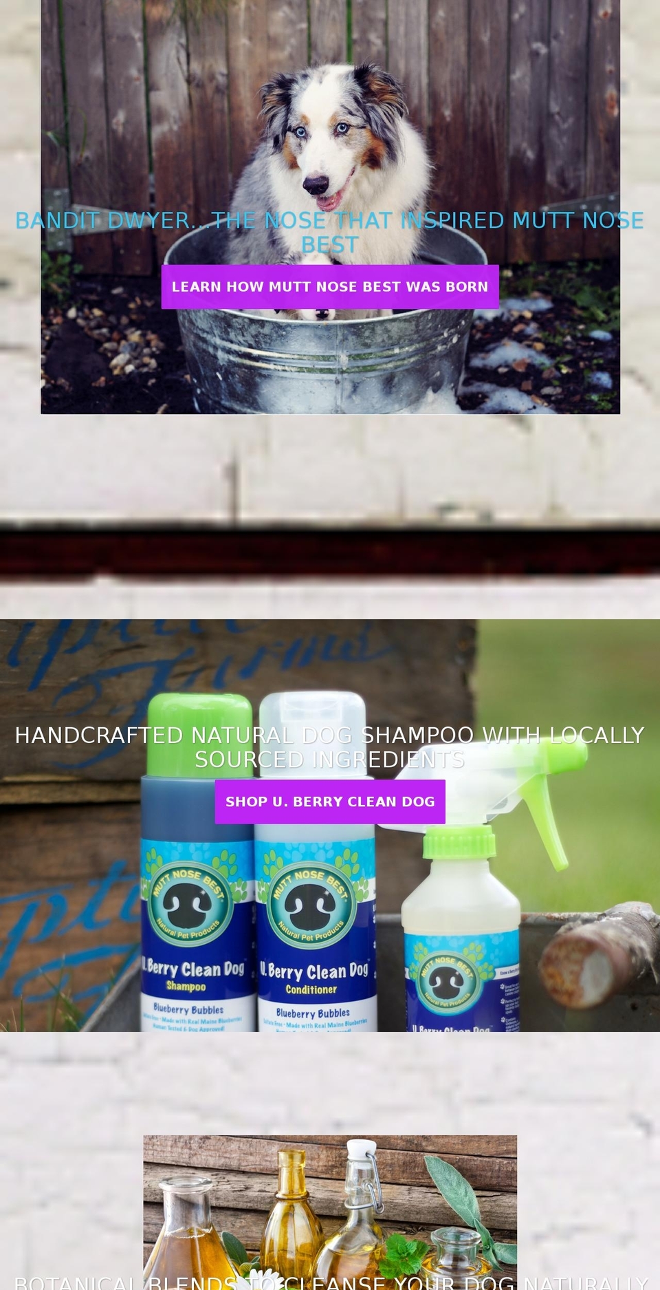 ruadirtydog.com shopify website screenshot