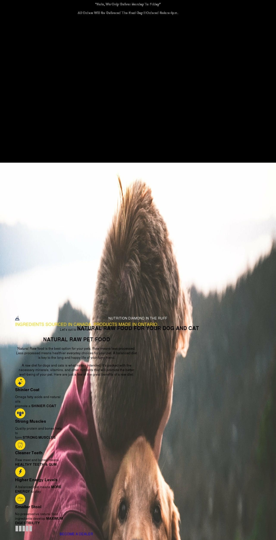 ruffgrub.com shopify website screenshot