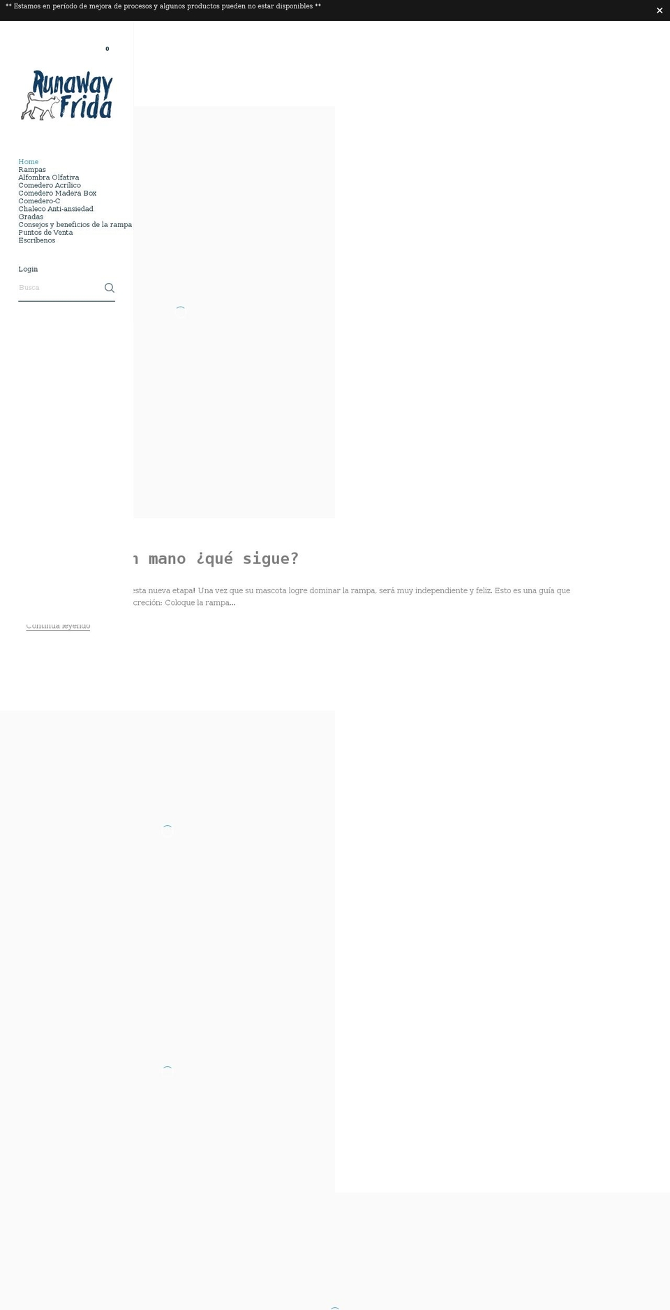 runawayfrida.com — Shopify storefront screenshot