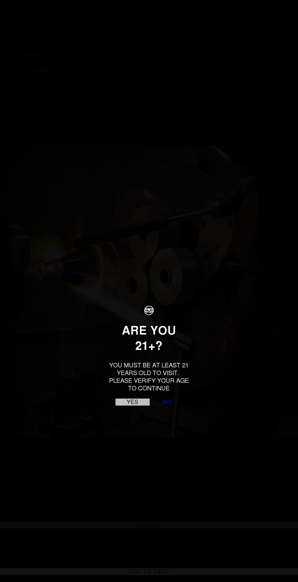 ryanfitt.com shopify website screenshot