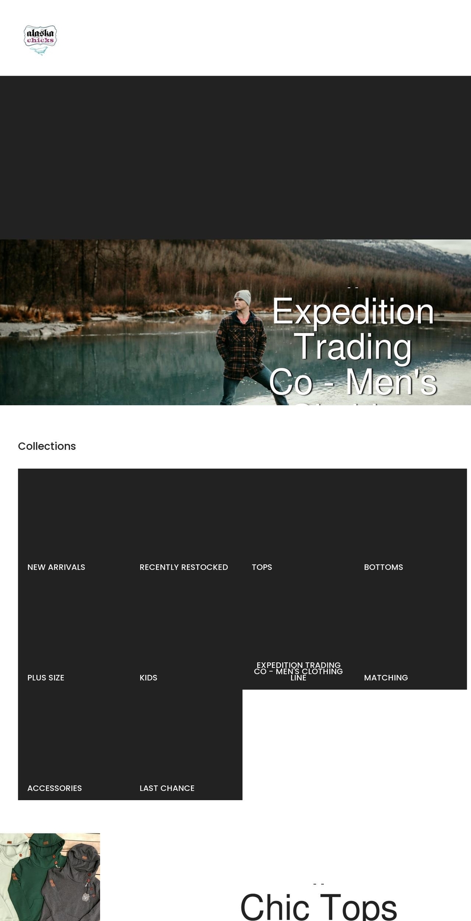 safetekinitiative.com shopify website screenshot