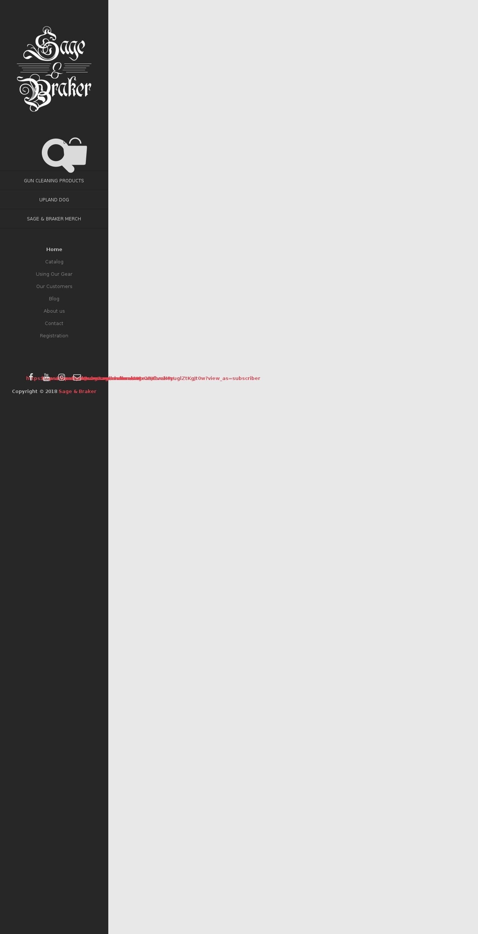 sageandbraker.com shopify website screenshot