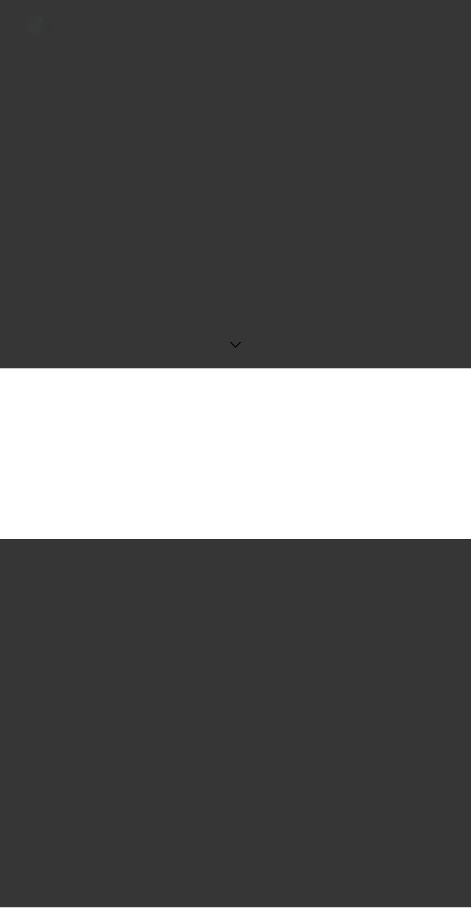 sagittariusgallery.com shopify website screenshot