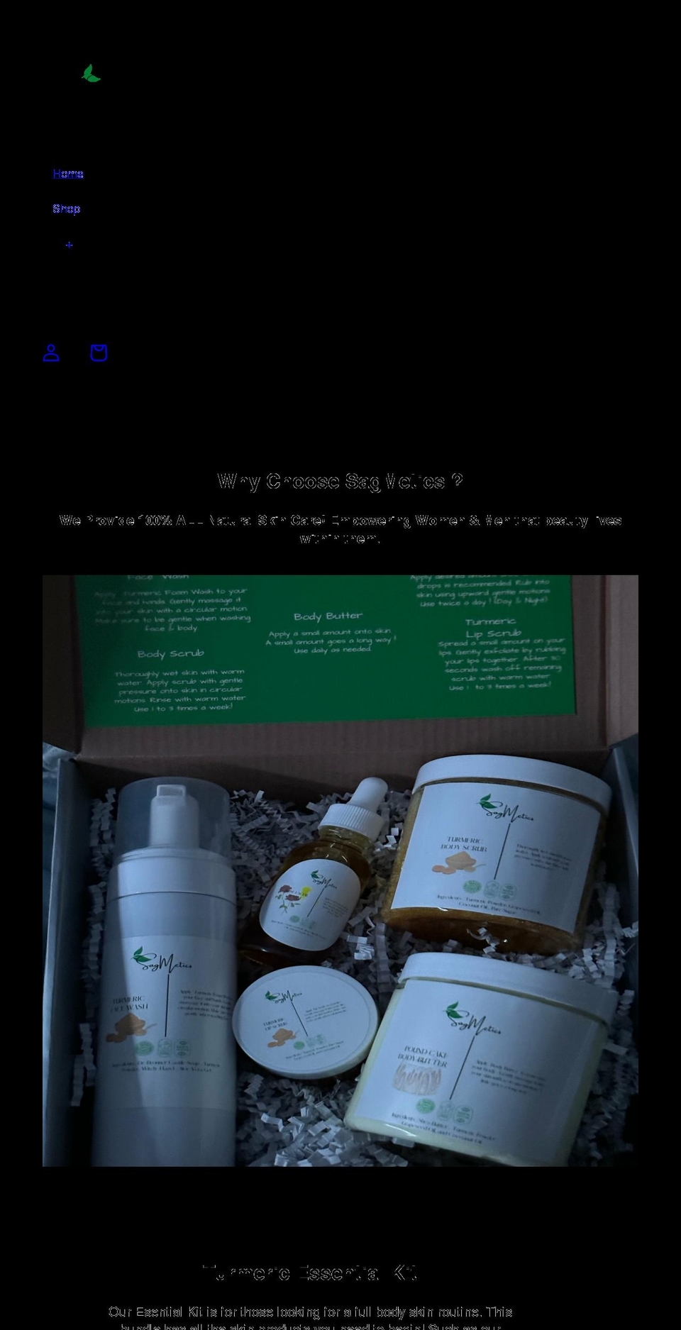 sagmetics.com shopify website screenshot