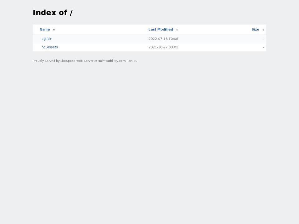 saintsaddlery.com shopify website screenshot