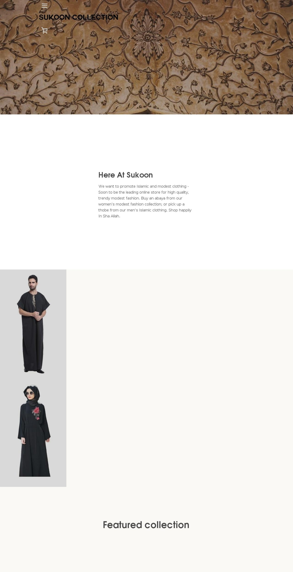 salah-central.myshopify.com shopify website screenshot