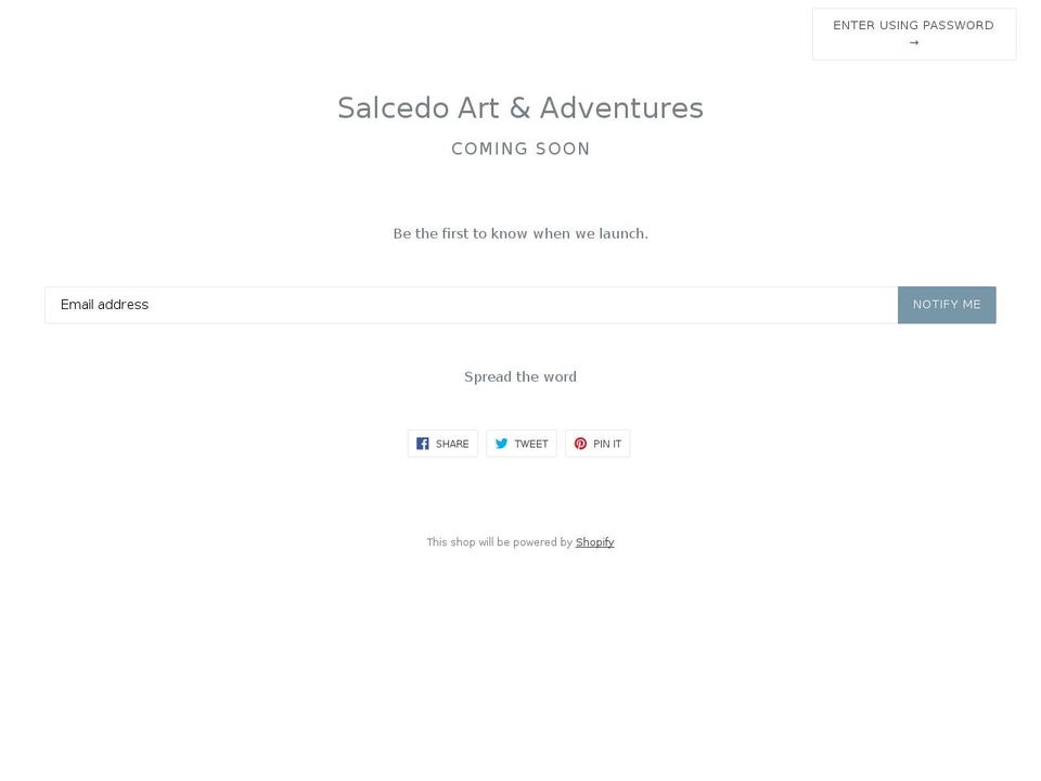 salcedoart.biz shopify website screenshot