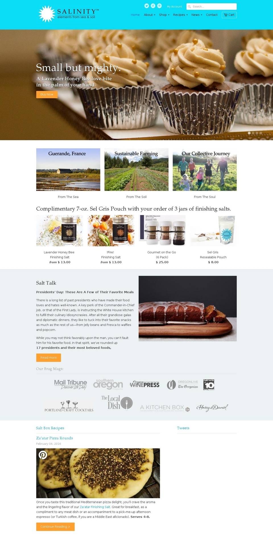 salinitysalts.com shopify website screenshot