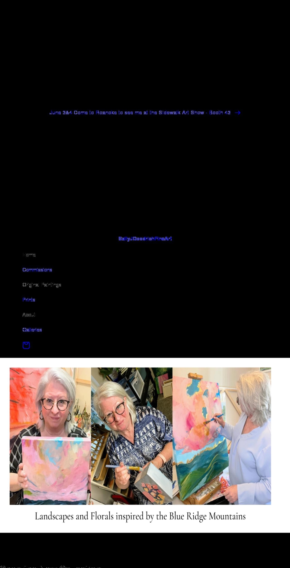 sallyjgoodrichfineart.com shopify website screenshot