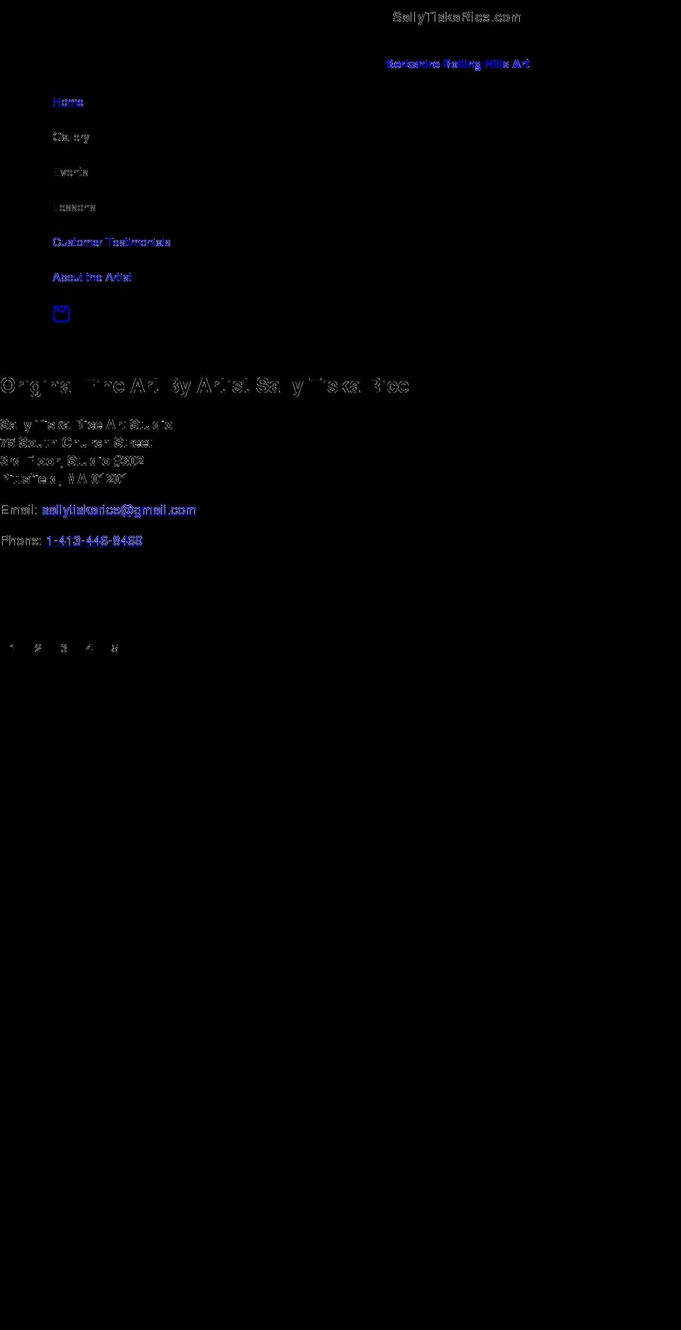 sallytiskarice.com shopify website screenshot