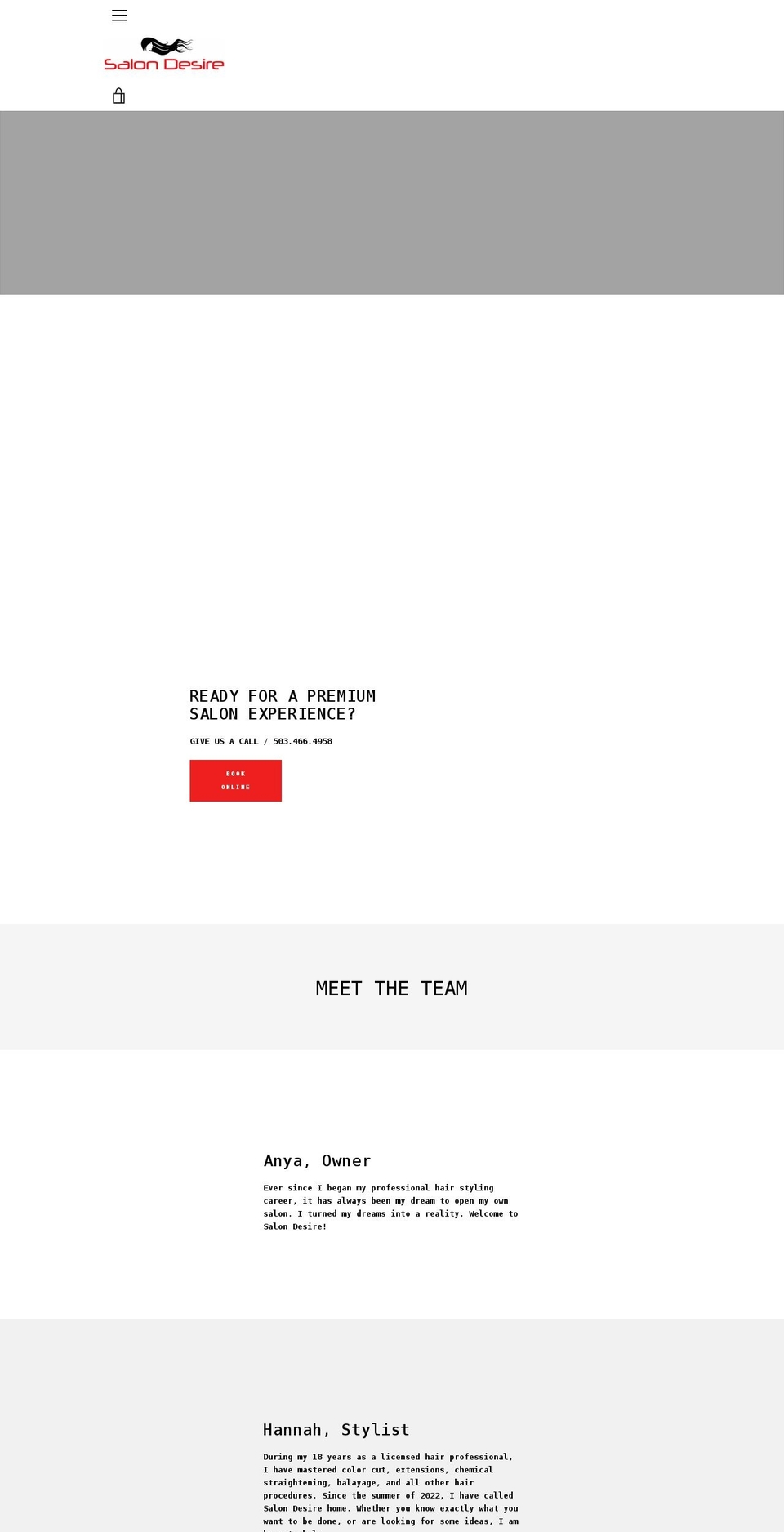 salondesirepdx.com shopify website screenshot